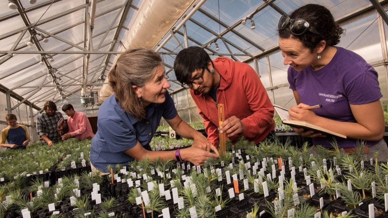 Kristen Waring helping students in a greenhouse.