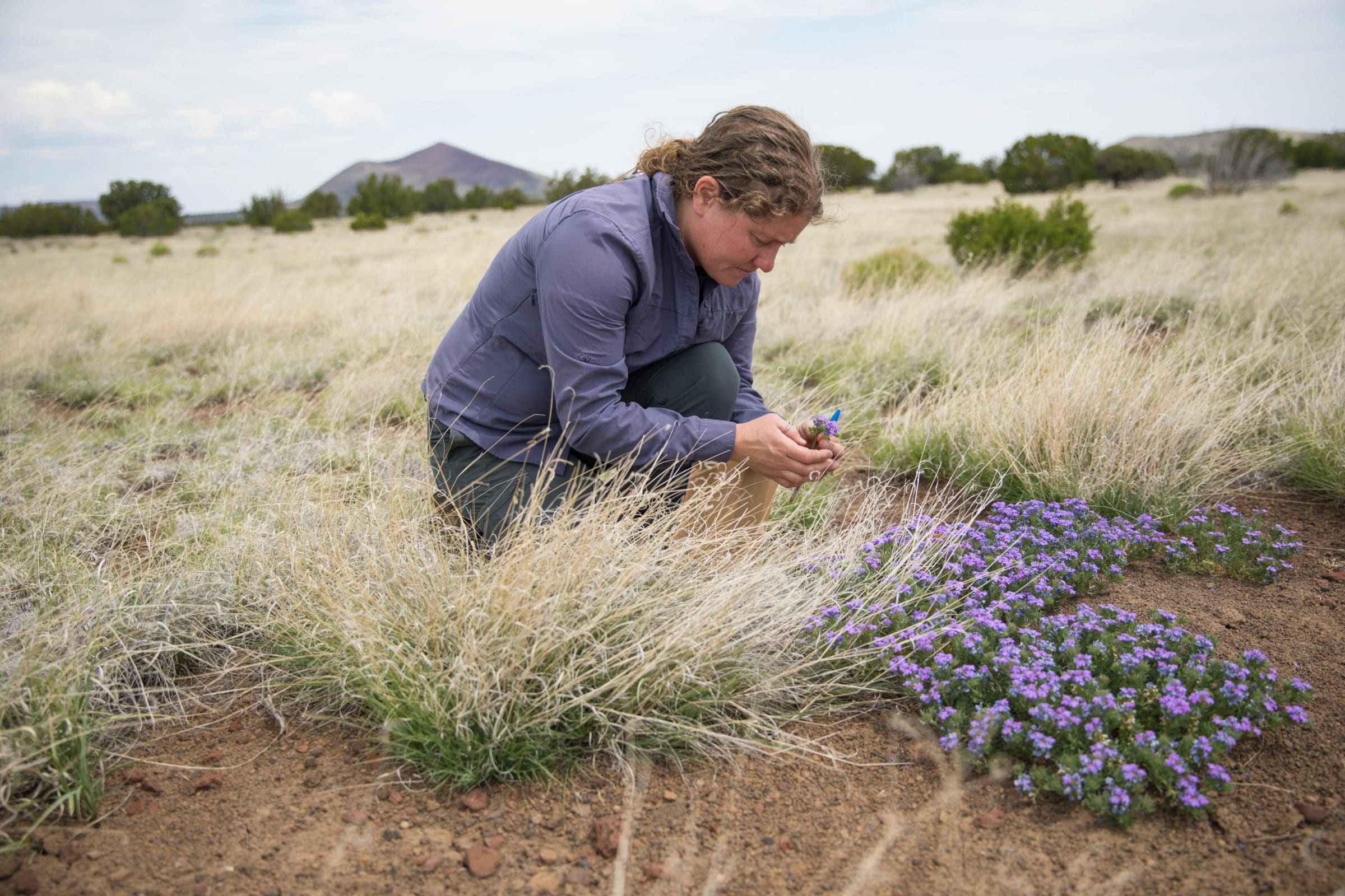 Clare Aslan doing field research.