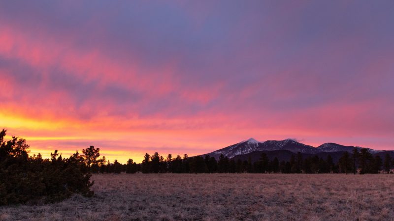 Lush field with trees in front of a mountain and a sunset.