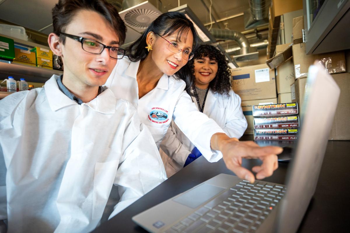Students in lab coats working in a lab.