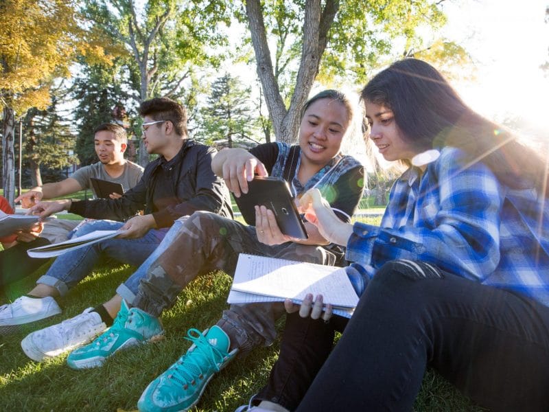 Students collaborating outside sitting on grass.