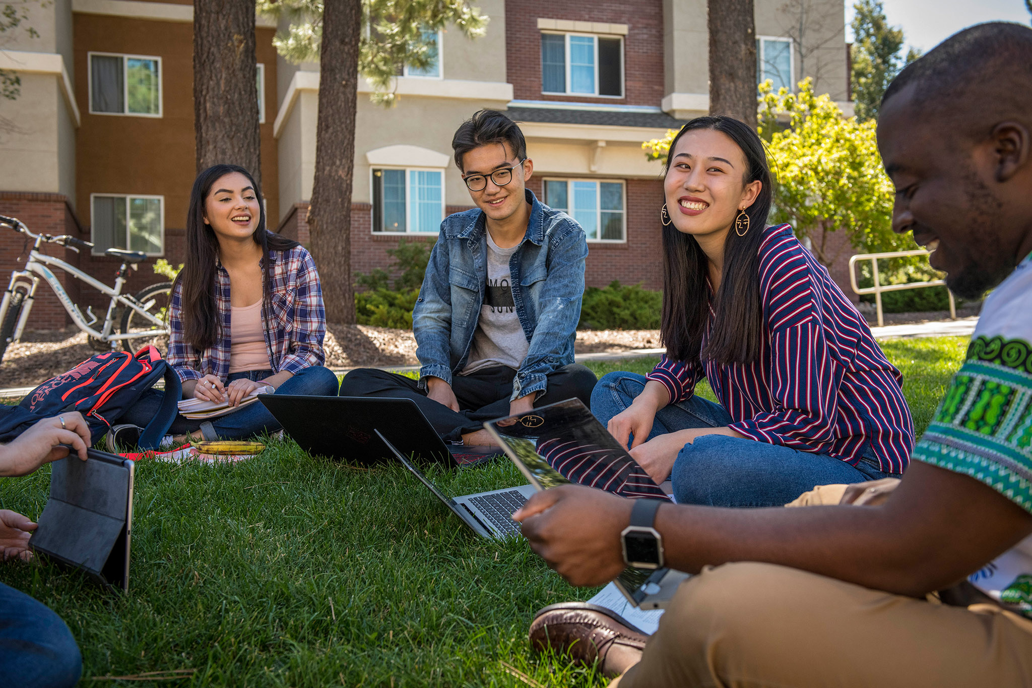 Student's gathered outside studying on the grass.