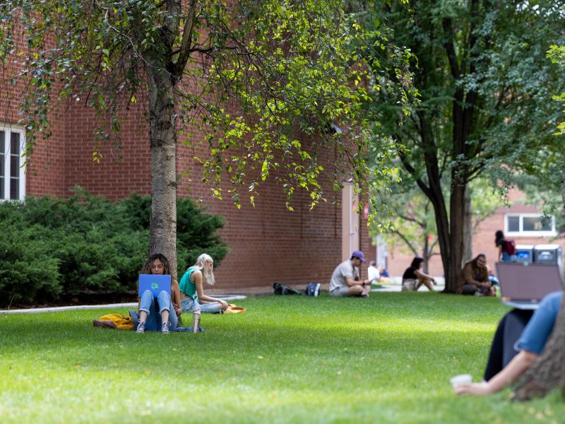 Students work on their laptops on the N A U campus.