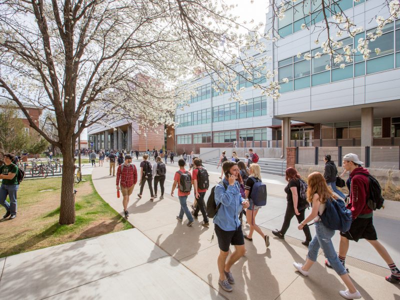 Candid photo of many students walking outside campus on a sunny spring day.