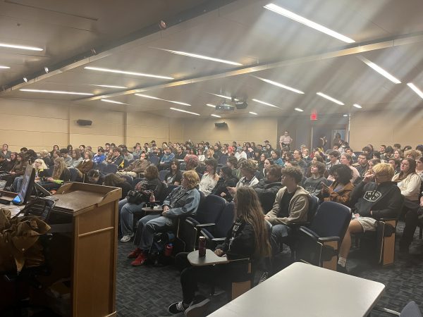 a crowded audience watches a film onscreen