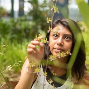Student examining a plant