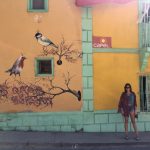Anna in Chile.