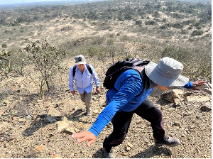 Two people hiking up a mountain.