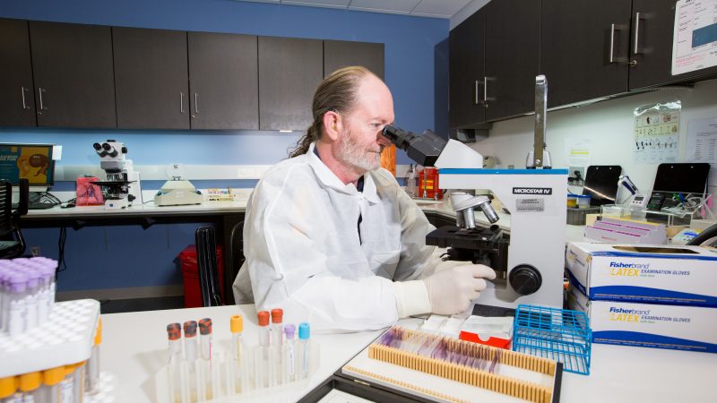 A doctor looks into a microscope.