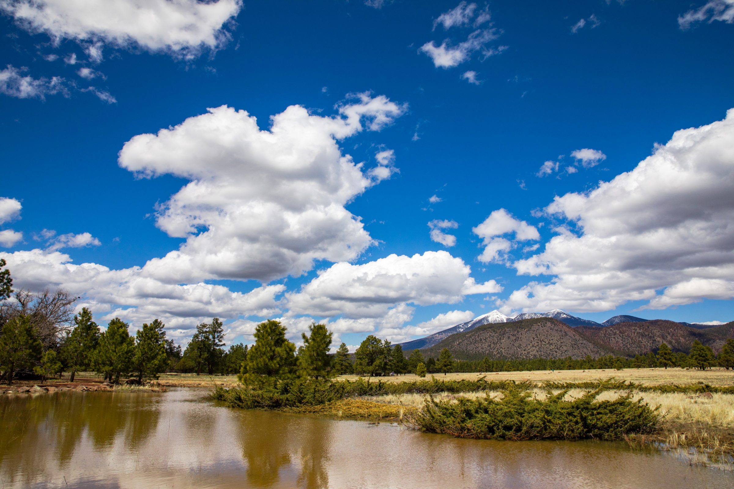 A lake in Flagstaff, AZ with mountains in the background.