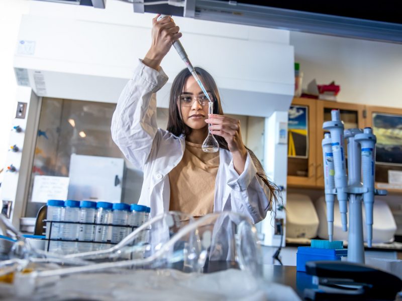Student conducting a lab experiment.