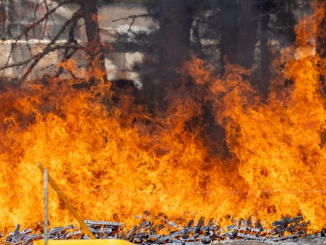 Applied Wildland Fire Science Thumbnail