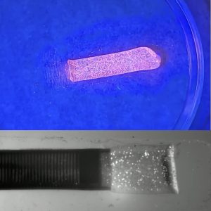 Microscope image of synthetic blood clot.