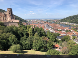Photo from Germany