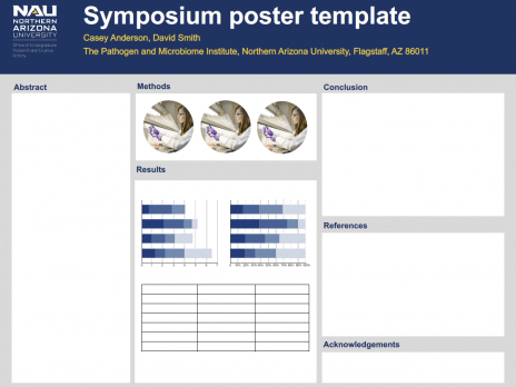 Downloadable example landscape poster template