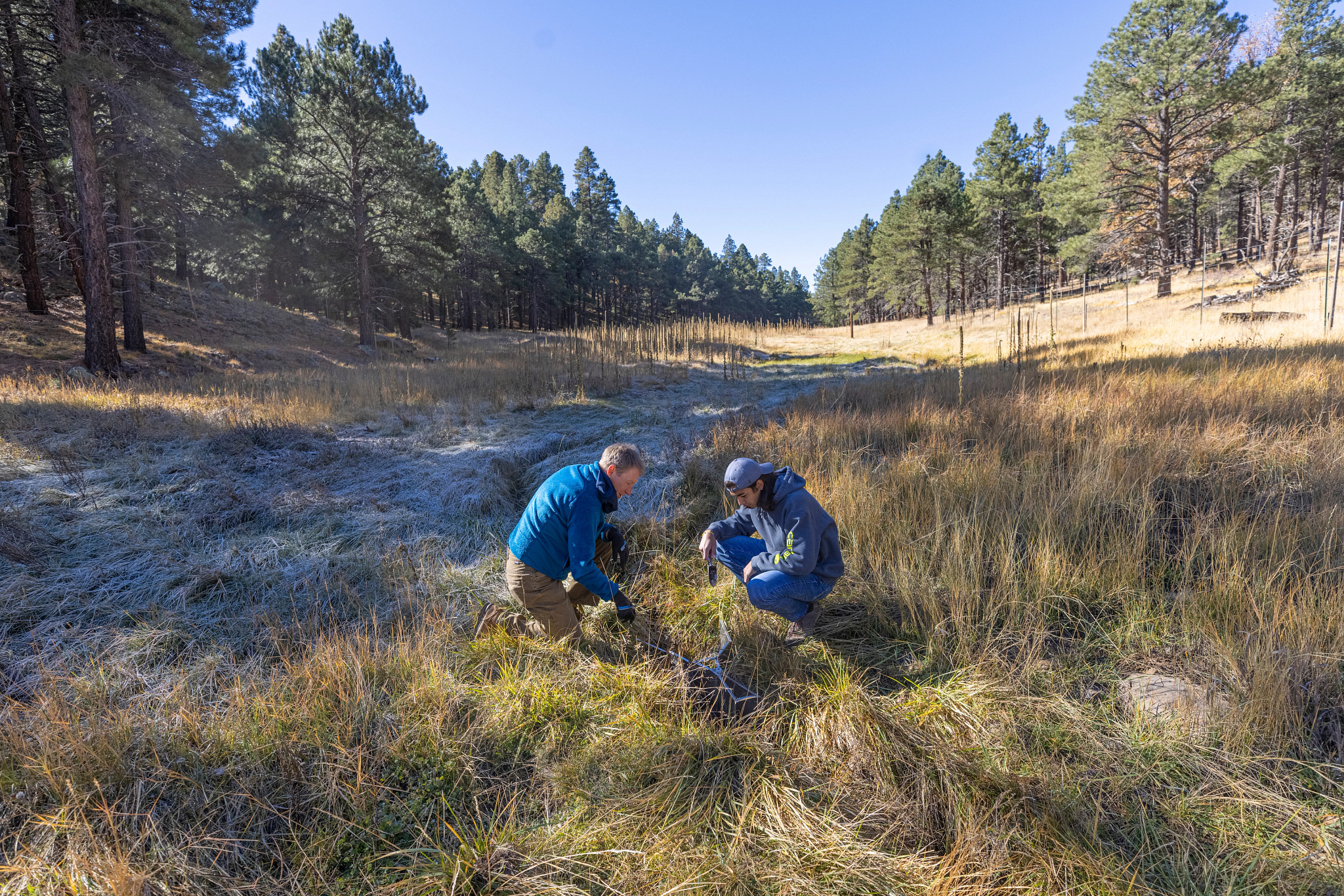 Professor Abe Springer and graduate assistant Andrew Lewis studying in the field.