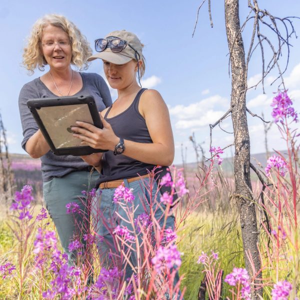 Regents' Professor Michelle Mack working in the field with a student.