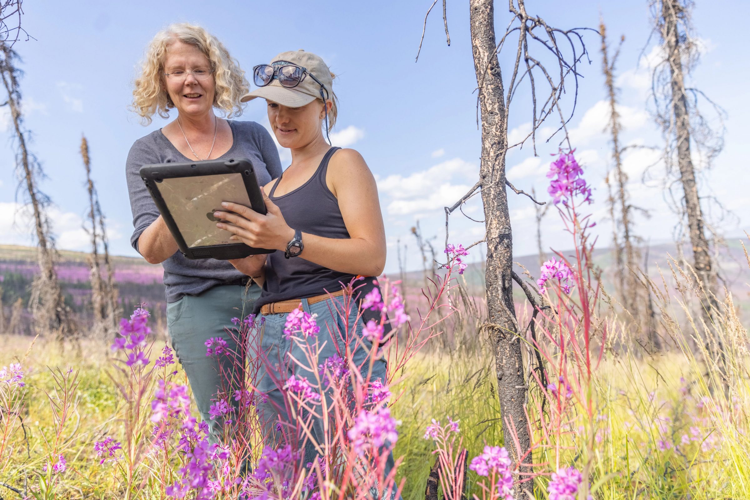 Regents' Professor Michelle Mack working in the field with a student.