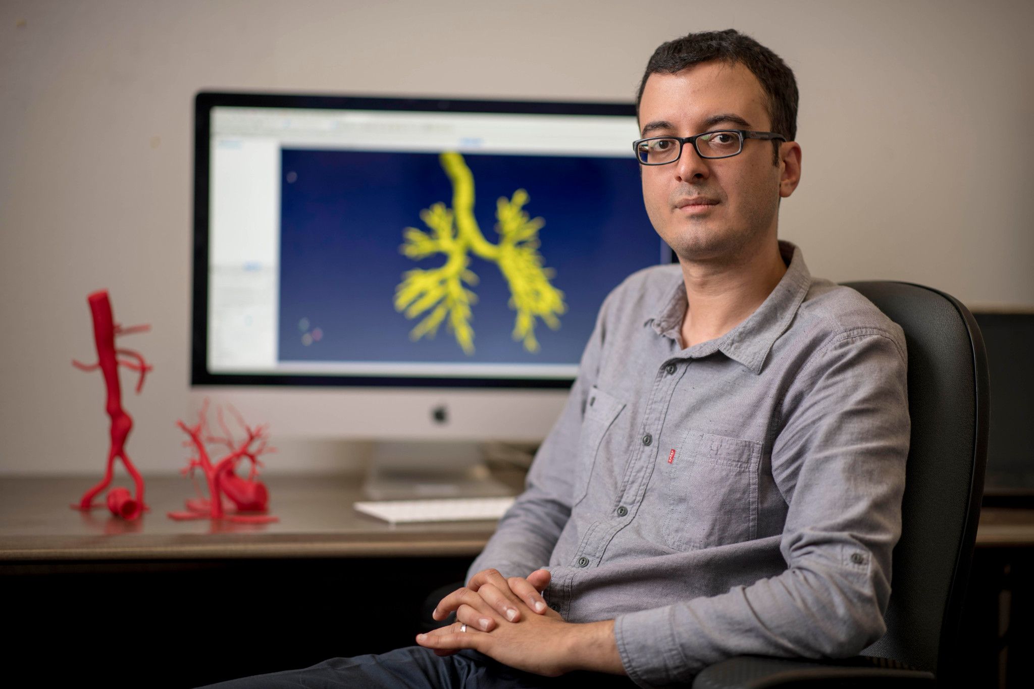 Assistant Professor Amir Arzani posing in front of digital organ models.