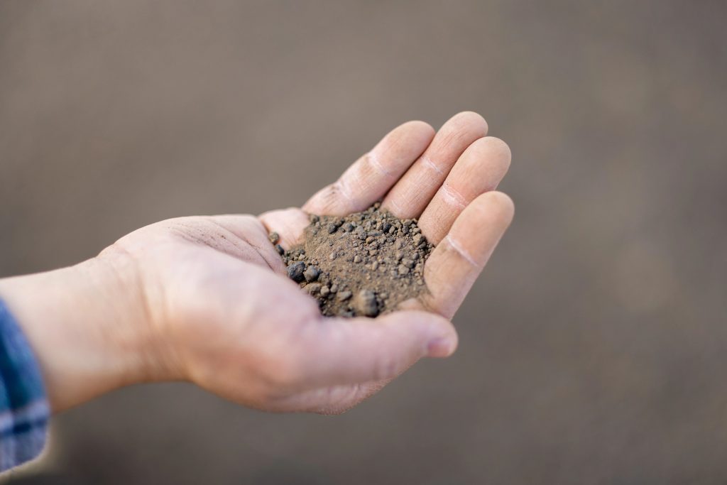 Outstretched hand holding dry soil.