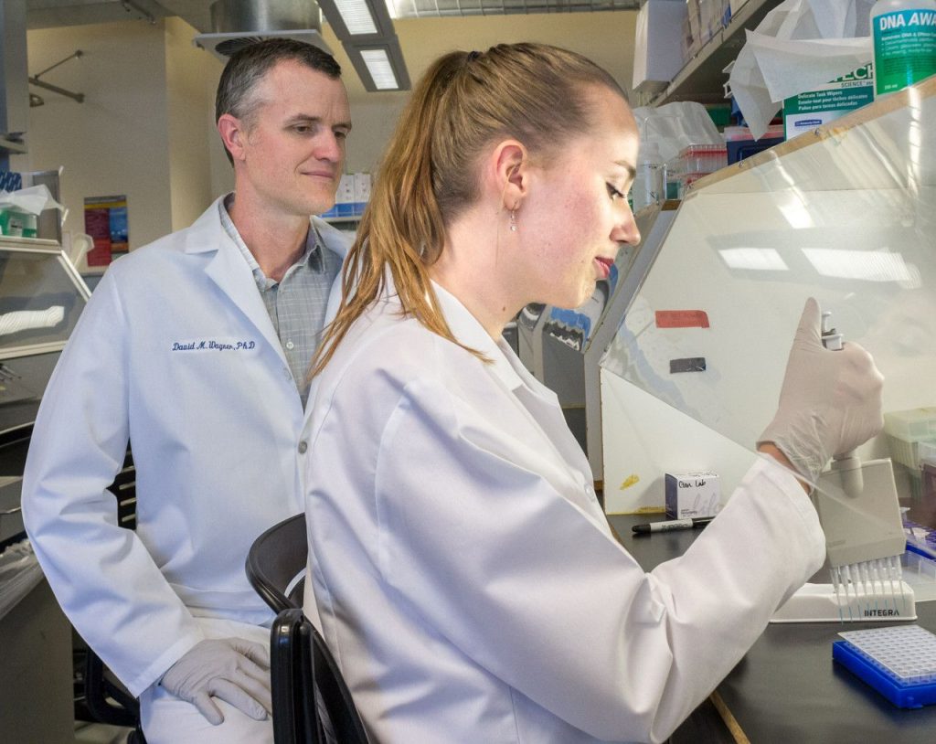 Professor Dave Wagner mentors student researcher in lab.