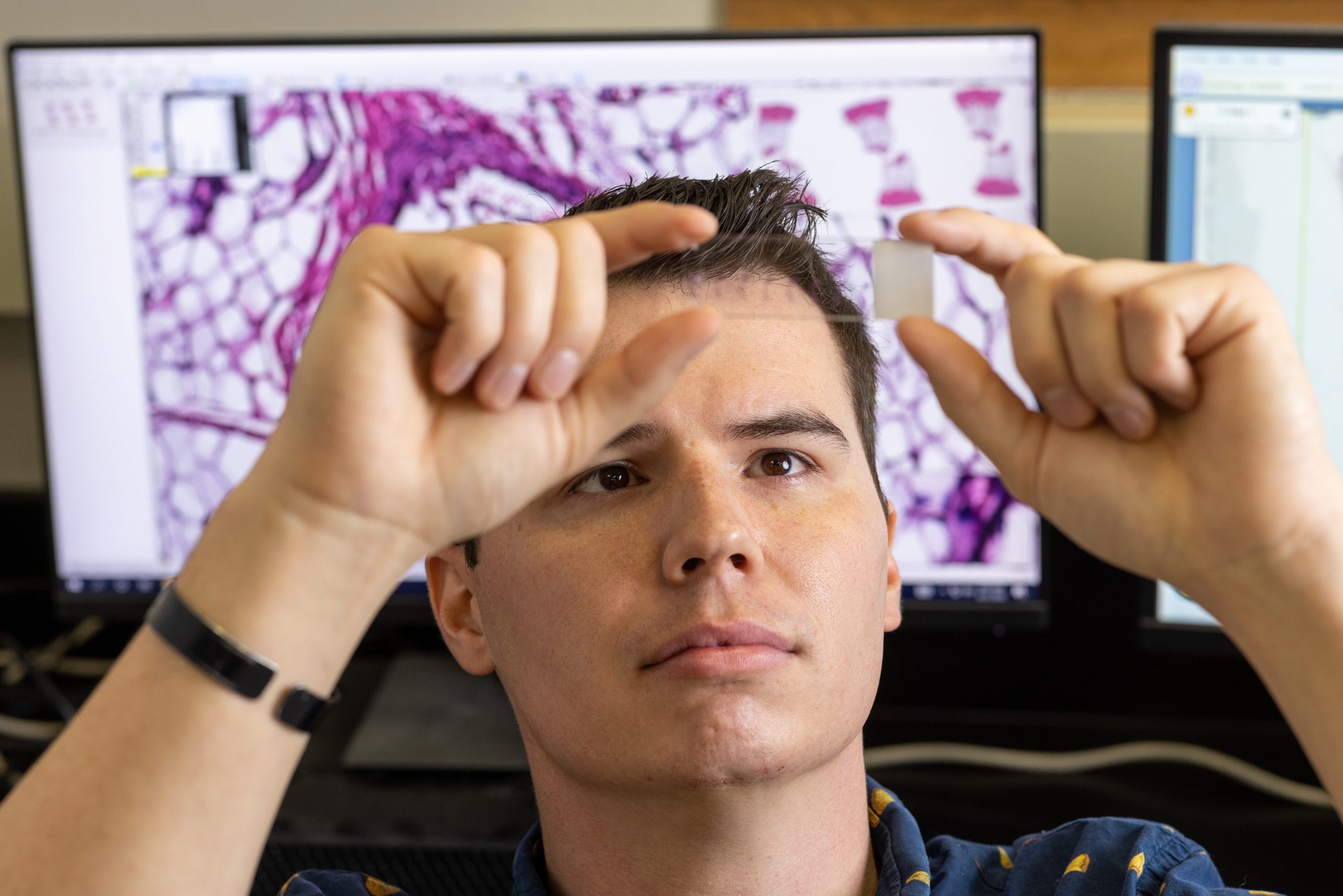 Lab Manager Ron Allen looks at microscope slide in Imaging and Histology Core Facility lab.