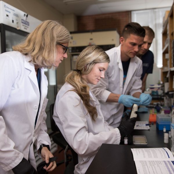 Professor Traustadóttir and students working in lab.