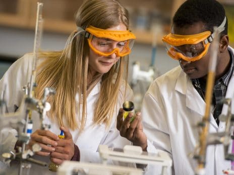 Students working in lab
