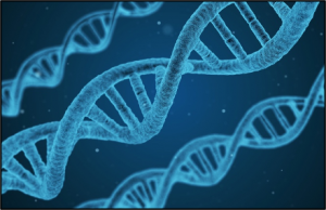Life sciences