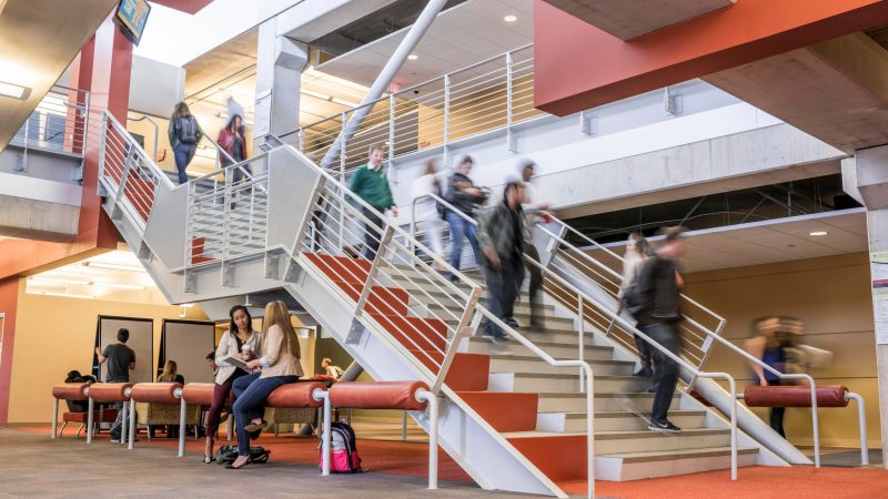 Students walking down Franke steps.