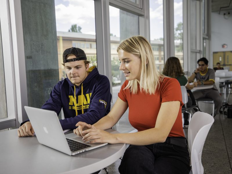 Students working online on campus.