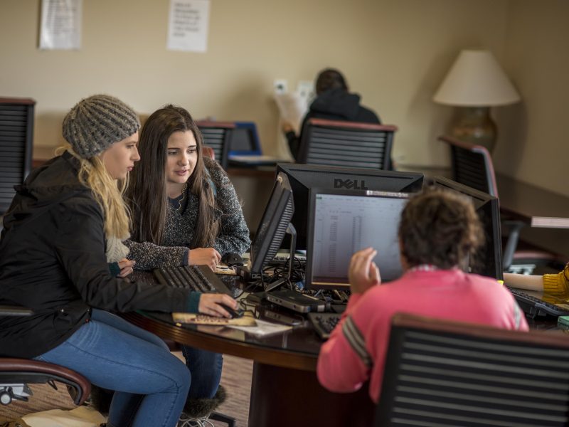 Students collaborating in a computer lab.