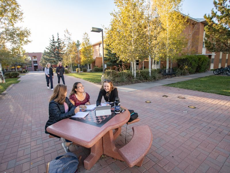 N A U students sit outside and do homework together.