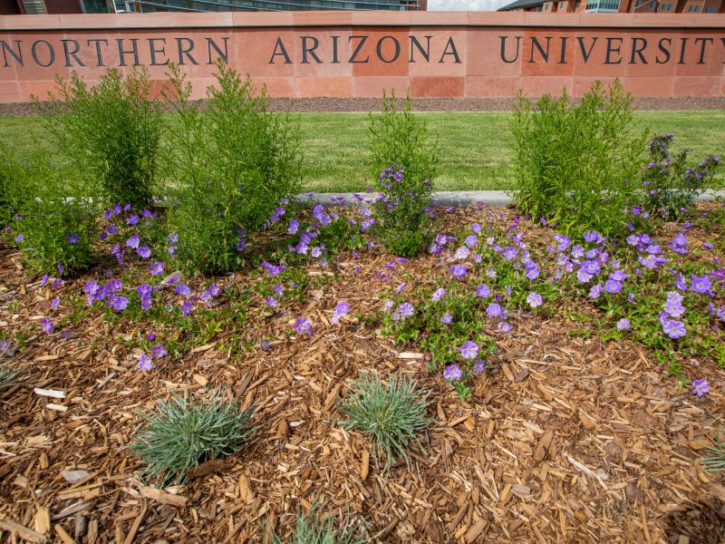 The N A U brick sign outside the west entrance to the university.