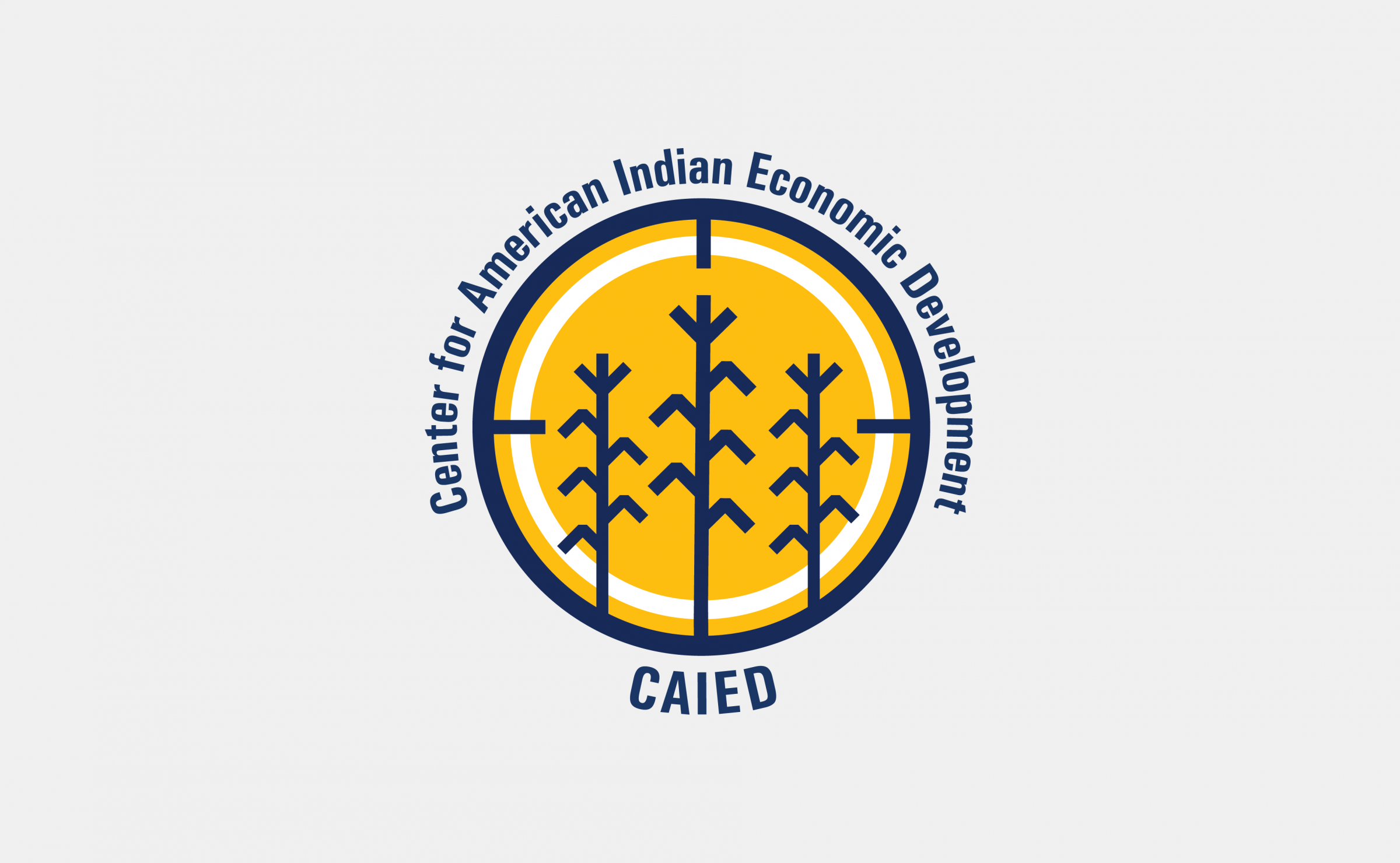 Logo for Center for American Indian Economic Development