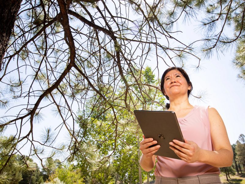 Una mujer teniendo una computadora portátil debajo un árbol.