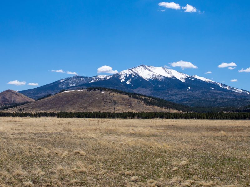 Landscape photo of the San Francisco Peaks.