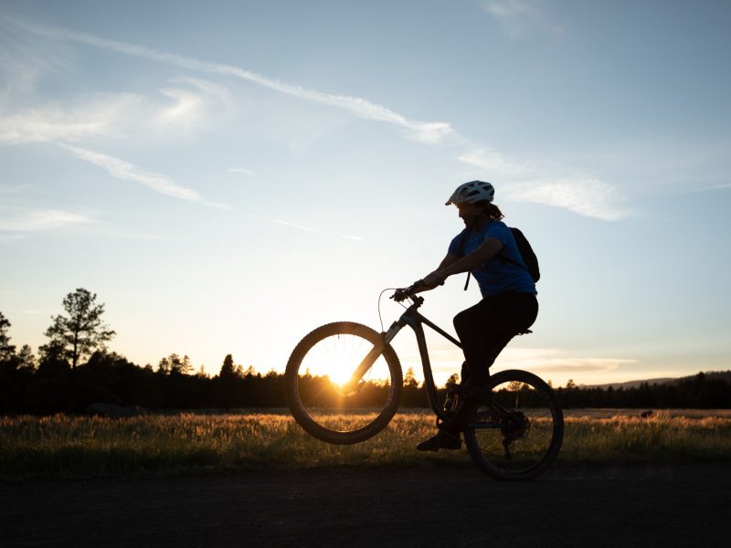 Silhouette of a mountain biker.