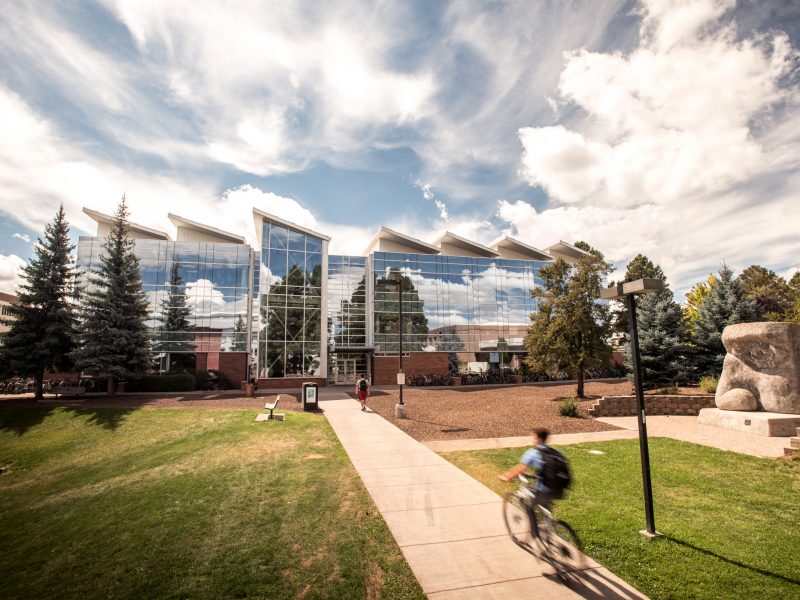 A student riding a bike on a campus sidewalk next to a green lawn.