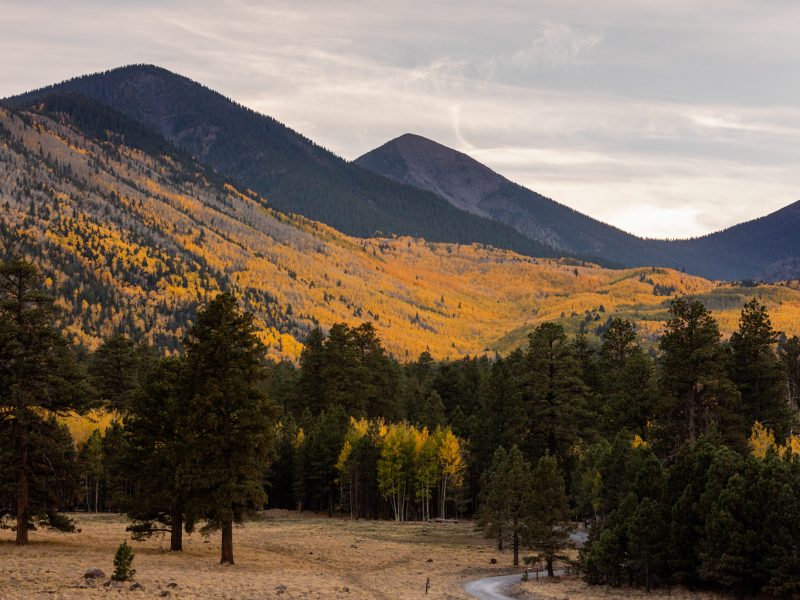 Photo of Lockett Meadow during the fall.