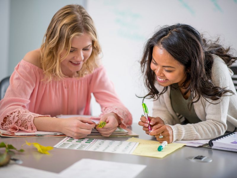 A photo of an Honors student examining a report with a professor.