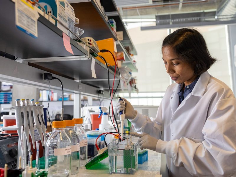 Researcher in lab.