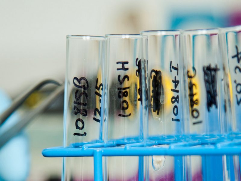 Test tube vials upright in rack with gloved handing holding tweezers in background.