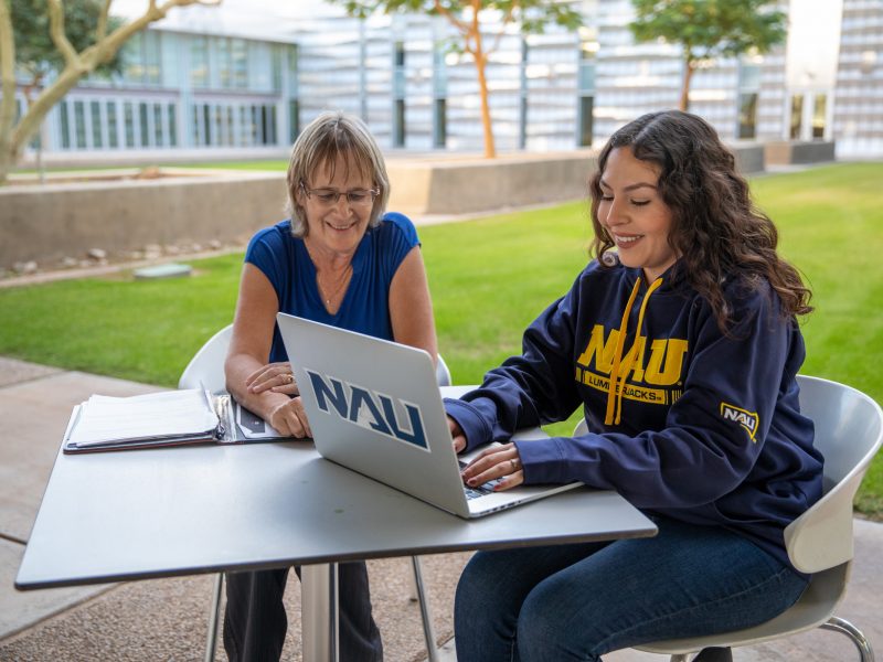 A photo of a student and a professor working on a computer.