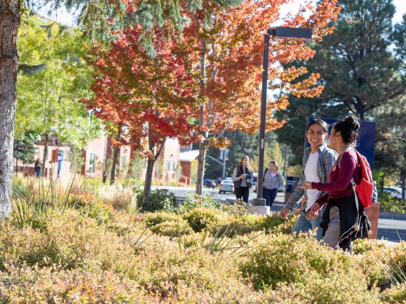 Candid photo of students walking on campus during the fall.