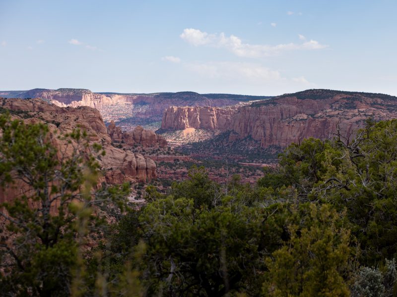 View of a Southwest landscape with trees and foliage in the foreground and rocky bluffs in the background.