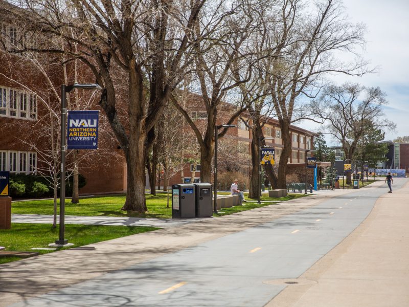 Pedestrian sidewalk lined with trees.