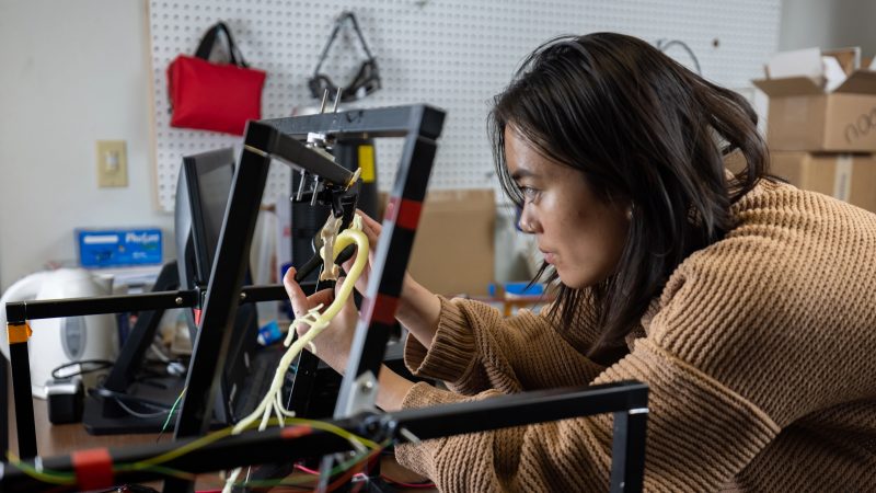 N A U student working on a project.