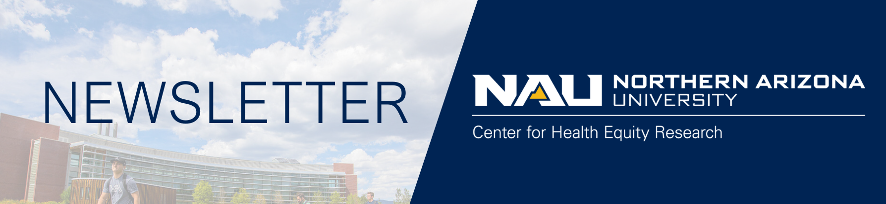 Newsletter banner for the Center for Community Health and Engaged Research 