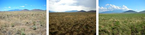 Schwartz Lab grassland research